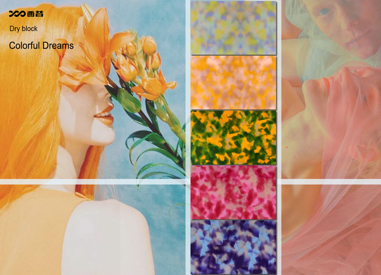 Colorful Dreams